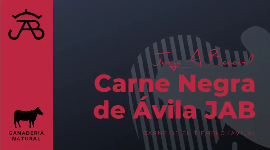 Carne Negra de Ávila